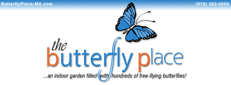 The Butterfly Place ... an indoor garden filled with hundreds of free-flying butterflies!