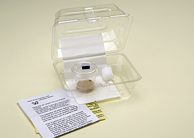 Butterfly Hatching Mini-Kit, contains 1 Painted Lady Caterpillar.